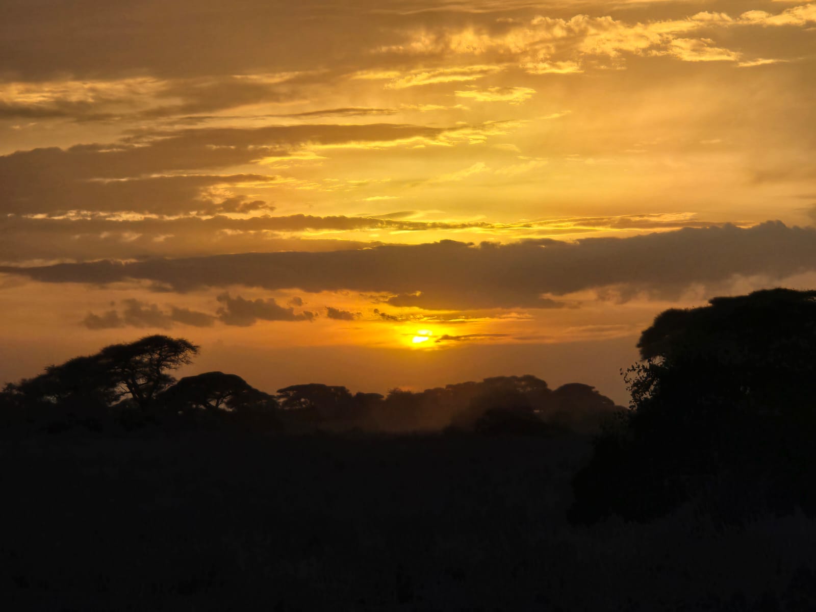 Maasai Mara Sunset